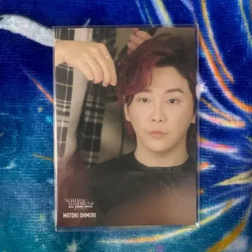 MrsGREENAPPLE 오모리 모토키 포토 카드 미세스 그린 애플