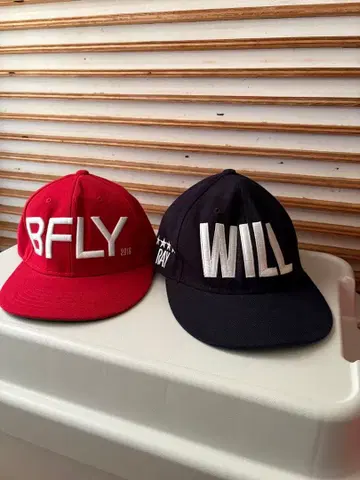 BUMP OF CHICKEN BFLY와 WILL의 캡 세트