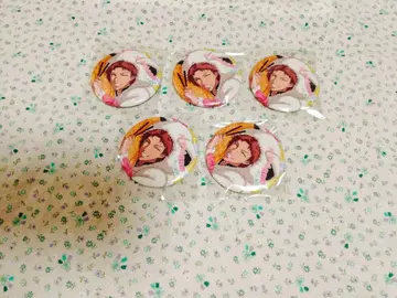 신 테니스의 왕자님 테니프리 샤이니 캔뱃지 아쿠타가와 지로 5장 세트