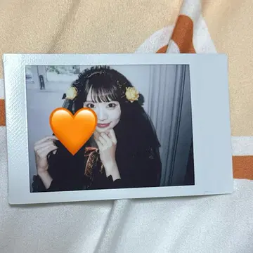 iLiFE! 코구마 마무 런치키 Malymoon 마리문