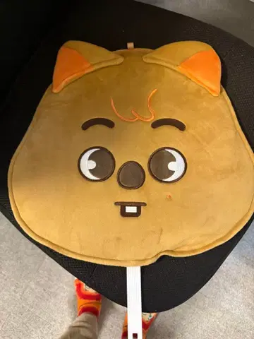 straykids 부채 커버 한