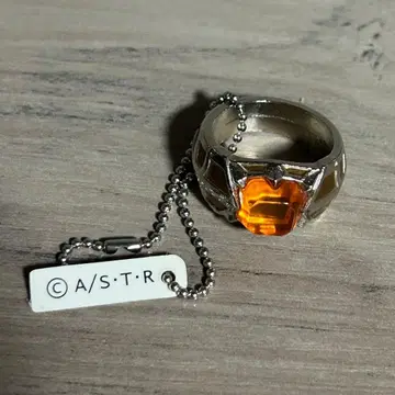 가정교사 히트맨 REBORN! 디노 봉고레 반지 하늘의 반지 말괄량이 2