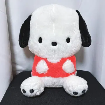 포차코 초초BIG 봉제 인형 폭신폭신 스탠다드 산리오 특대형 점보