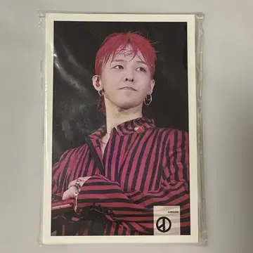 G-DRAGON 포토 스탠드 세트 15매