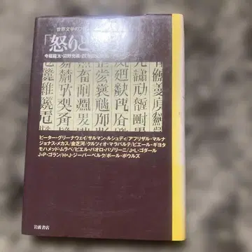 분노와 울림 세계 문학의 프론티어