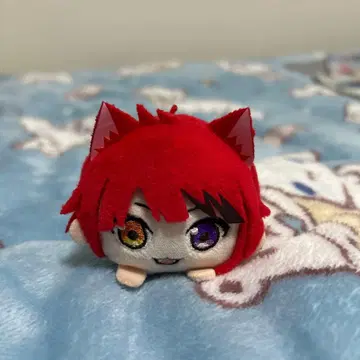 리이누 군 모치코로링