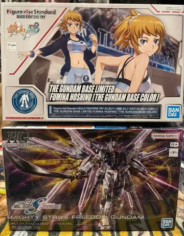 HG Fumina Hoshino & Strike Freedom