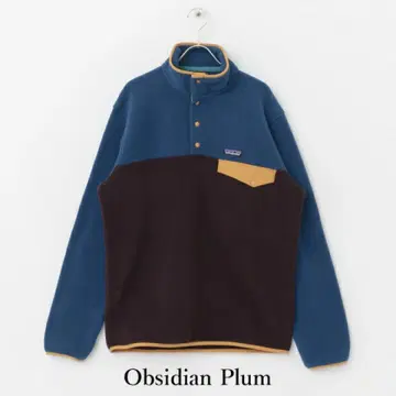 Patagonia 파타고니아 플리스 스냅T 풀오버