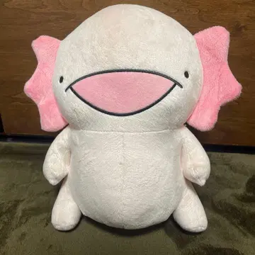 카라메루 우파루파