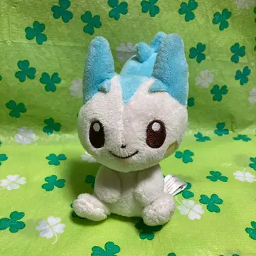 포켓몬 캔버스 파치리스