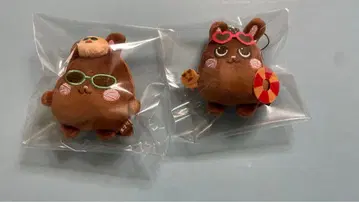 RIIZE we litte riize 일광화상 원빈 냥토크