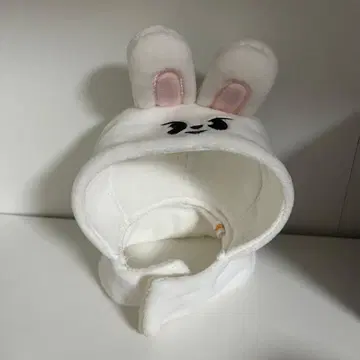 Stray Kids 리노 leebit 응원봉 커버