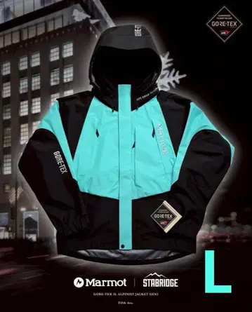 STABRIDGE x Marmot Gore-Tex 3L Alpinist