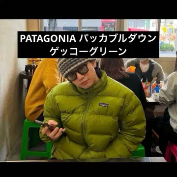 파타고니아 패커블 다운 게코 그린 다운 더스 파카 다운