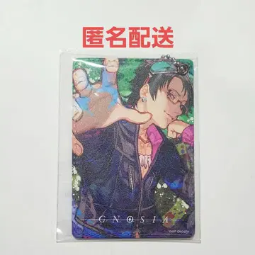 샤밍 그노시아 패스 케이스 빌레반 콜라보 GNOSIA 카드 케이스