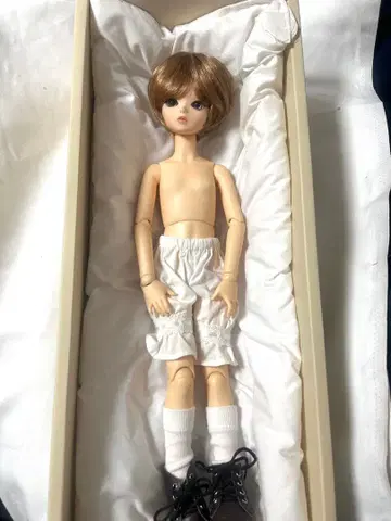 bluefairy tiny fairy May 인형 본체