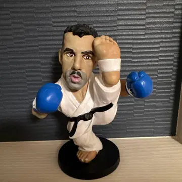 가라테가 앤디 피규어 액션 포즈