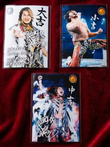 신일본 프로레슬링 운세 브로마이드 2026 타나하시 히로시 3장 세트