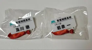 하이큐 참 포함 네임 배지 컬렉션 오이카와 토오루 이와이즈미 하지메