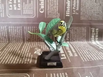 네이처 테크니컬러 오가사와라 메구로 가챠 피규어