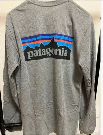 Patagonia 그레이 롱 슬리브 T셔츠 S