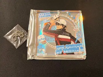 테니스의 왕자님 에치젠 료마