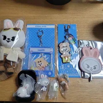 straykids 리노 Leebit 굿즈 리노 트레이딩 카드 묶음 판매
