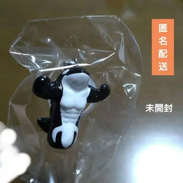 [ 미개봉품 ] 고베 스마 월드 시아갓테루 범고래 메지루시 참