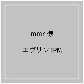 에블린 TPM 백 인 백