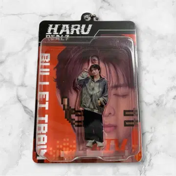 초특급 REAL? 블리스터 키링 하루 카시와기 유우