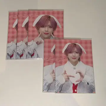 러브라이브 사쿠라 gigo 트레이딩 카드 2종 5장 세트