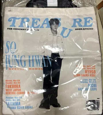 TREASURE 정환 토트백