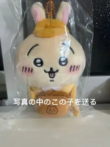 2 치이카와 (먼작귀) 일하는 스태프 마스코트 토끼