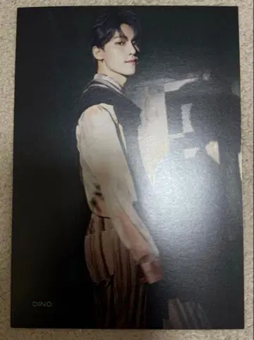 혼자가 아니야 플라이어 디노