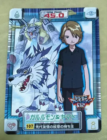 디지몬 어드벤처02 카드 107 가루루몬 야마토