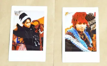 고투의 러블리 로버 오토모 시온 코샤 나이루