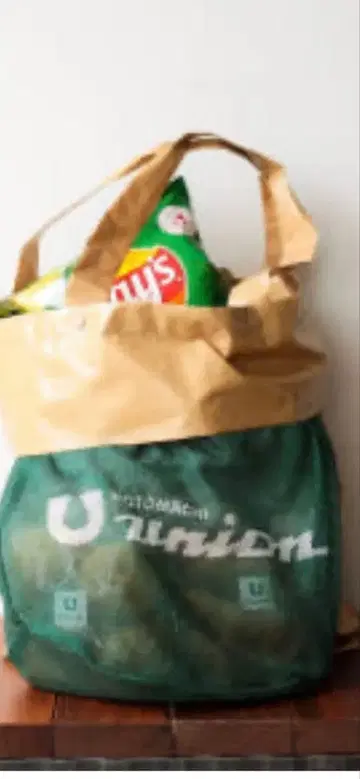 BEAMS 메쉬 에코백 그린/베이지