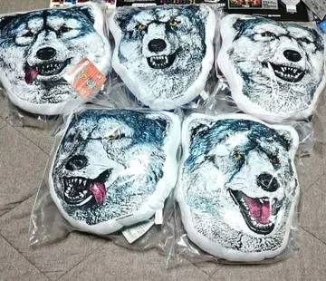 페이스 쿠션 컴프 맨위즈 제일복권 MWAM C D E F G