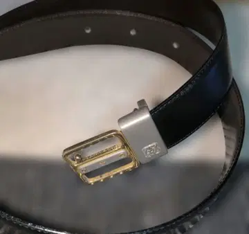 Louis Quatorze 가죽 벨트