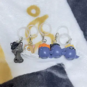 하이큐 애니멀 유라유라 마커 전종 세트 메지루시 참