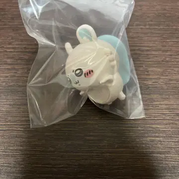 치이카와 히퍼스 모몽가