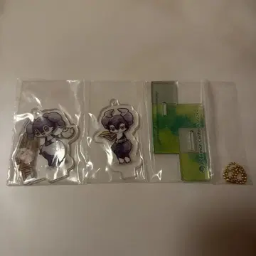 Celebi's Celebration 참 이예슨 마호이프