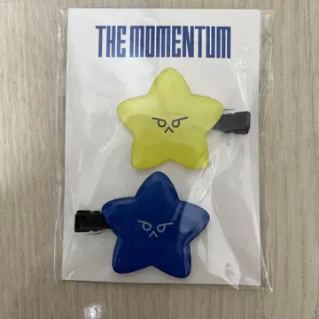 NCT NCT127 도영 The MOMENTUM 헤어 클립
