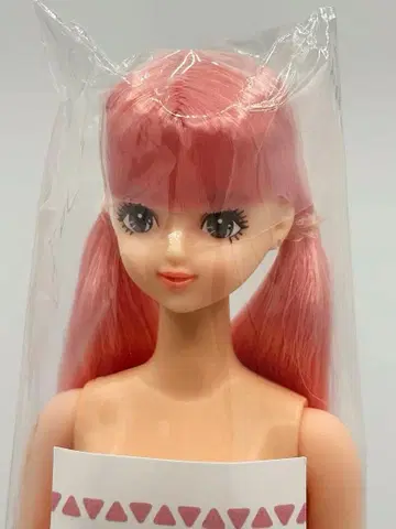 사야카 리카짱 캐슬 오타노시미 인형 투테일 제니 프렌드