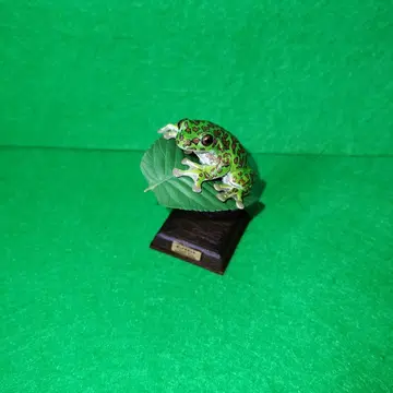 일본 개구리 모리아오 개구리 네이처 테크니컬러 피규어 가챠