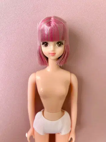 리카짱 캐슬 오타노시미 인형 제니 프렌드 타마키