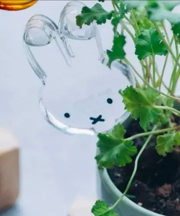 미피 studio CLIP 콜라보 워터 디스펜서