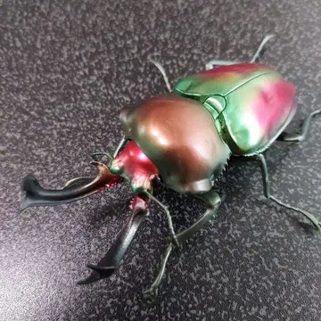 무지개 사슴벌레 노멀 생물대도감 사슴벌레 10 미개봉 새상품