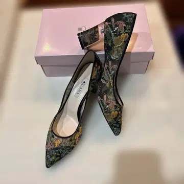 다이애나 뮤샤 콜라보 25cm 클리어 힐 펌프스 회화