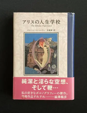 No.740 [출판사 품절] [앨리스의 인생학교] 피에르 마콜랭 / 초판